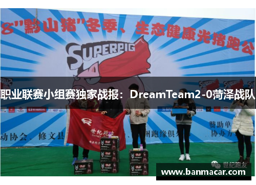 职业联赛小组赛独家战报：DreamTeam2-0菏泽战队
